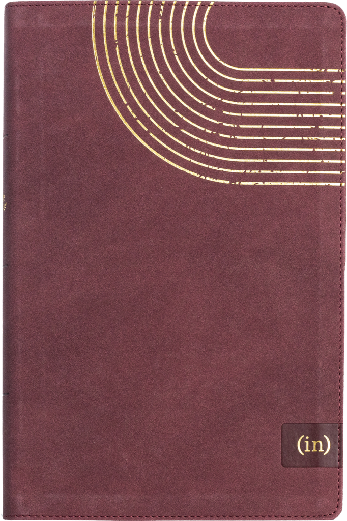 bible cover